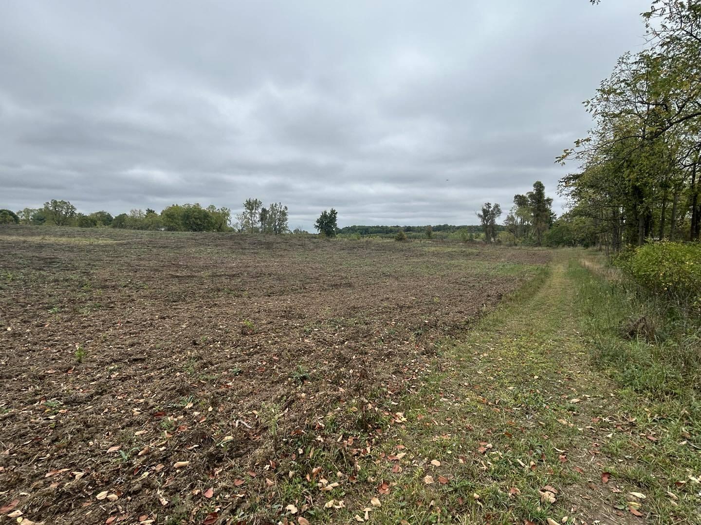 Undisclosed Address North Adams, MI 49262 - Photo 5 of 25 ss23