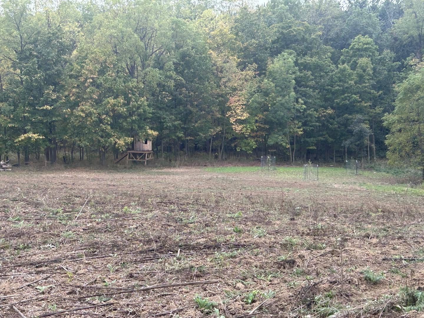 Undisclosed Address North Adams, MI 49262 - Photo 6 of 25 ss22