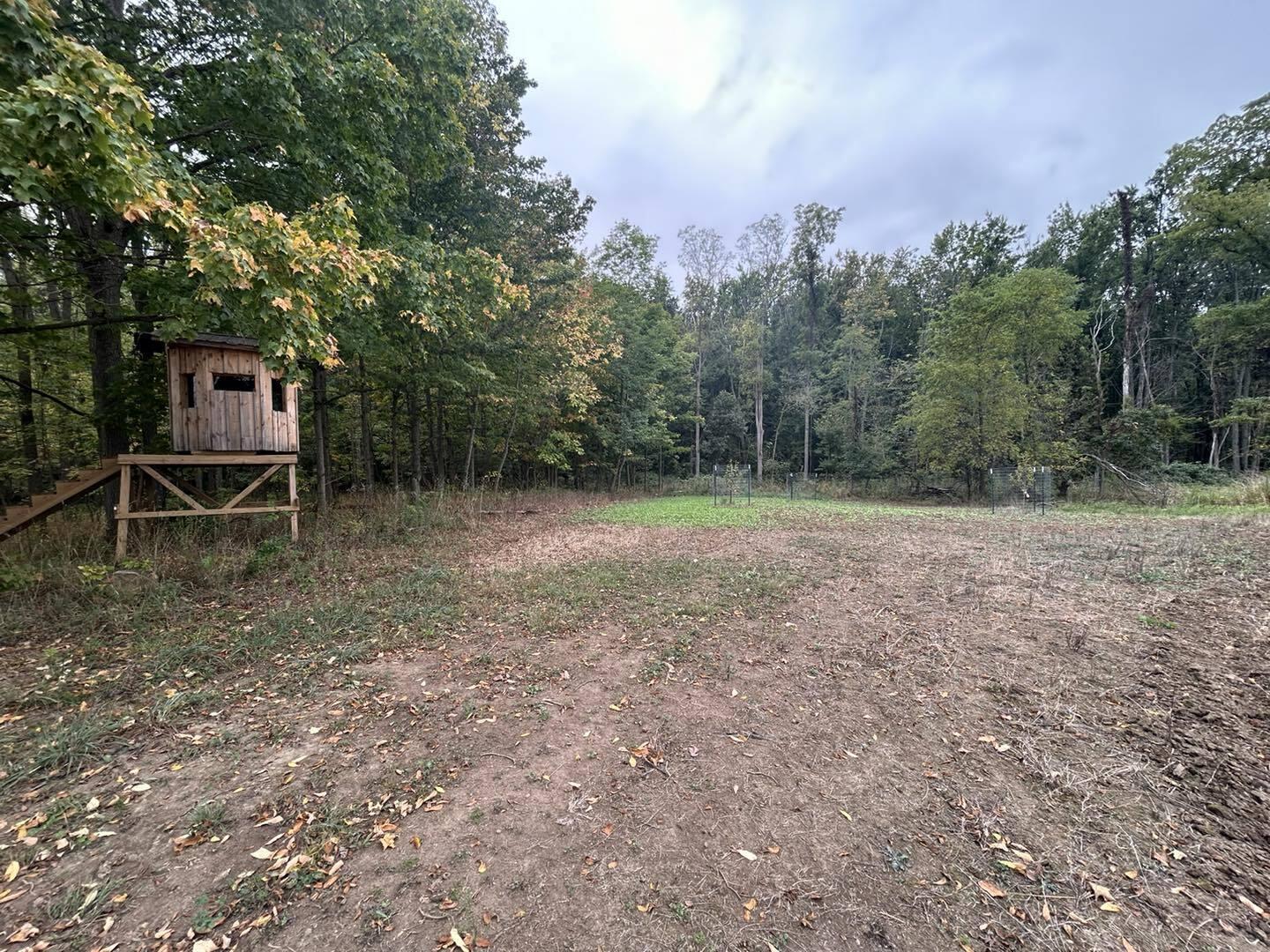 Undisclosed Address North Adams, MI 49262 - Photo 8 of 25 ss19