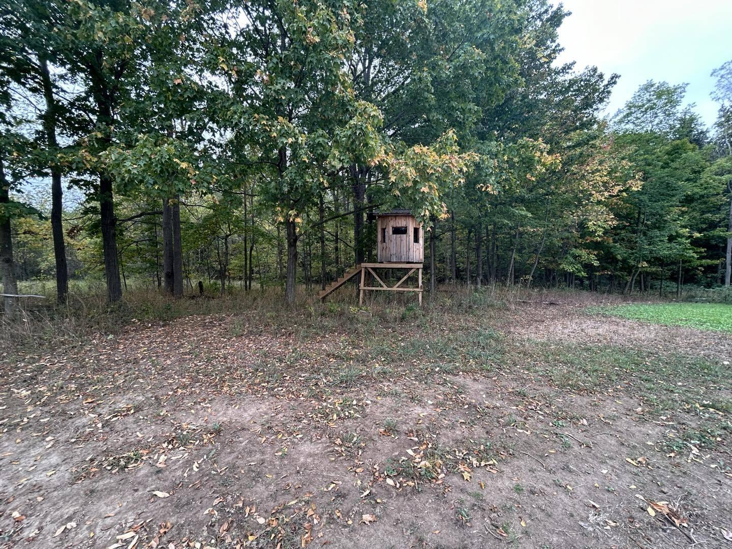Undisclosed Address North Adams, MI 49262 - Photo 9 of 25 ss18
