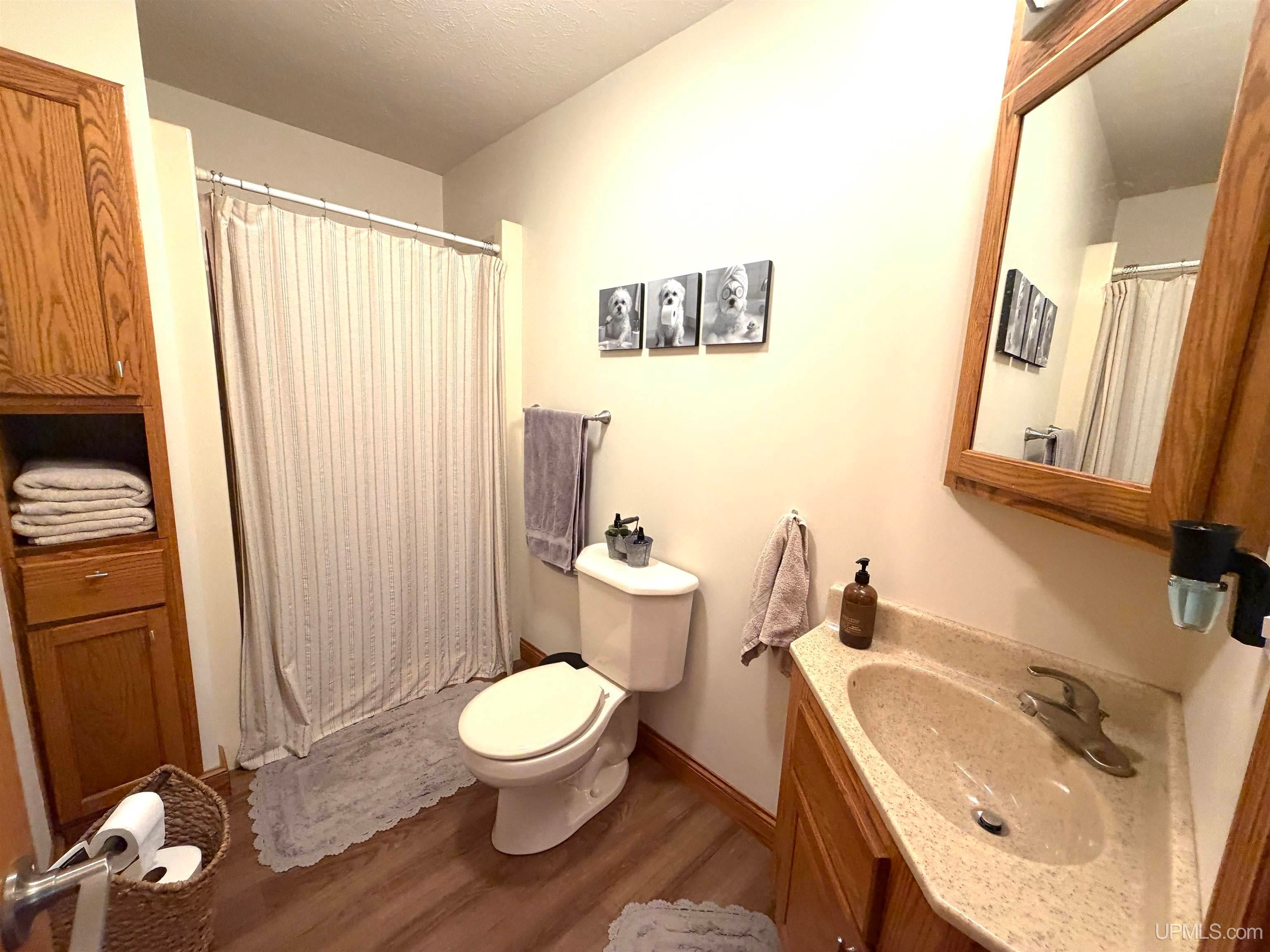 2011 Co Road Little Lake, MI 49833 - Photo 19 of 53 Gallery Image 19