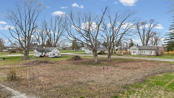 a view of a yard with a house and a large tree
