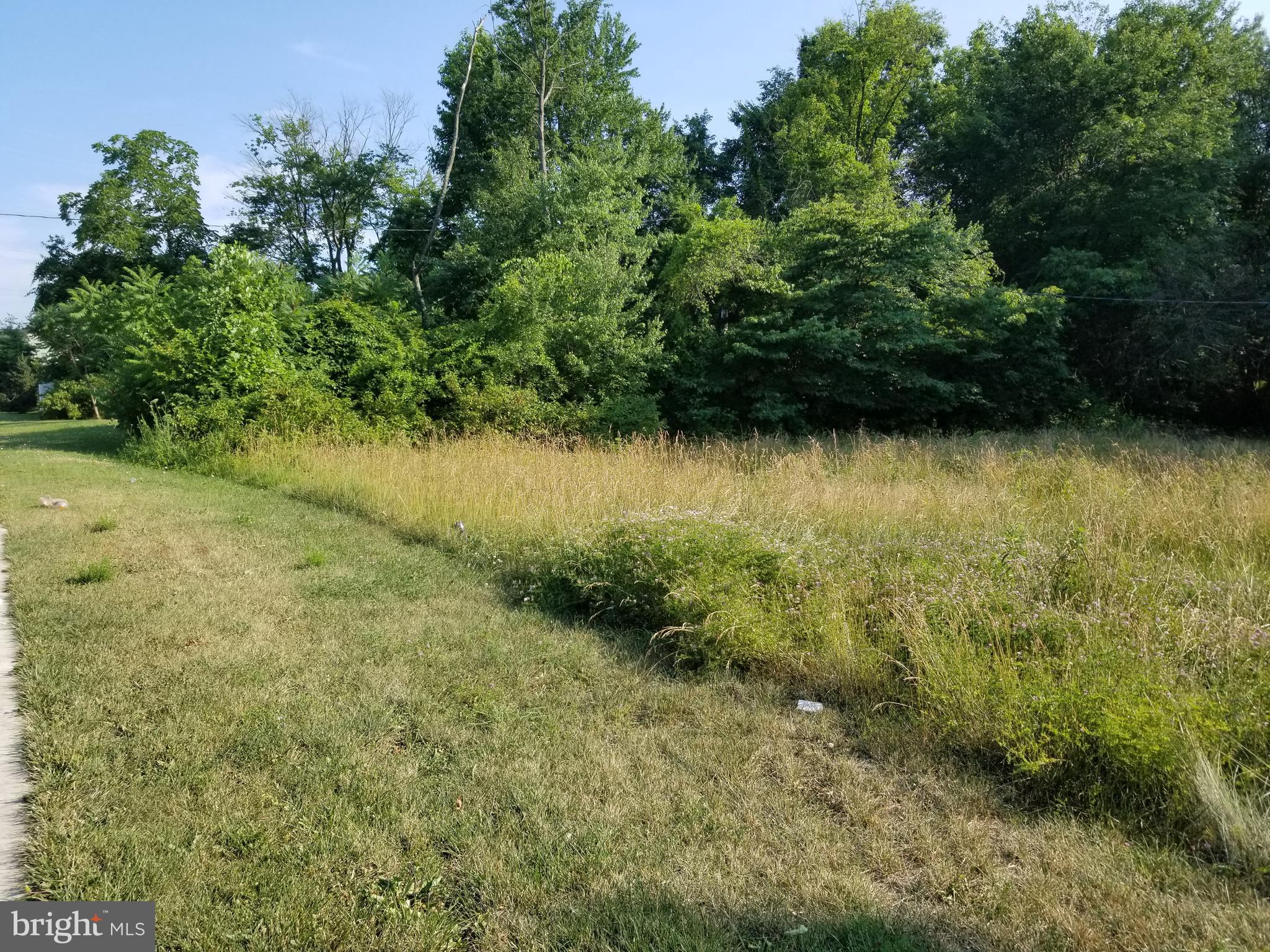 New Forge Road White Marsh, MD 21162 - Photo 1 of 2 a view of a yard with plants in front of lake