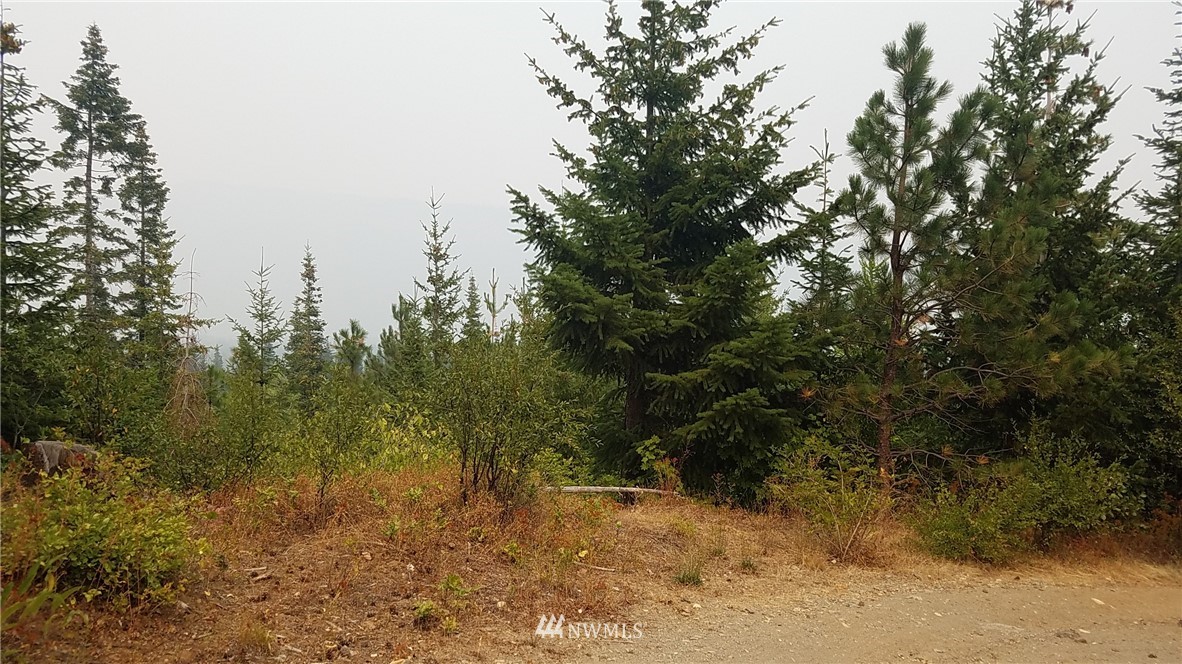5634 Nelson Siding Road Cle Elum, WA 98922 - Photo 12 of 13