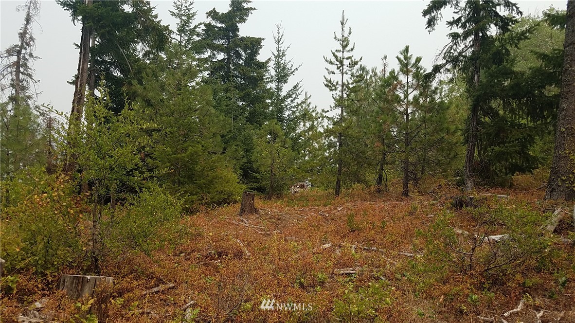 5634 Nelson Siding Road Cle Elum, WA 98922 - Photo 6 of 13