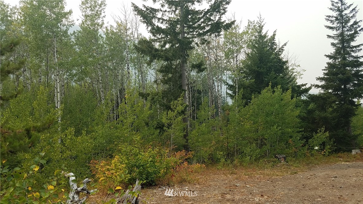 5634 Nelson Siding Road Cle Elum, WA 98922 - Photo 8 of 13