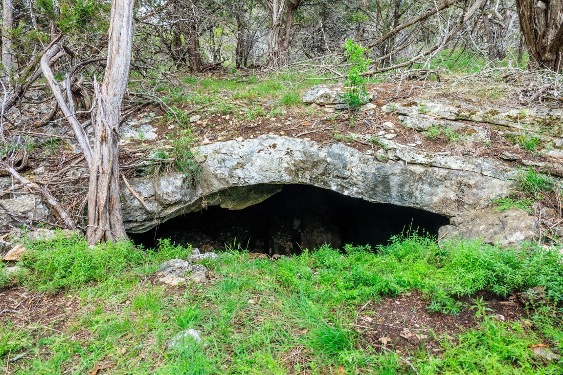 370 Fallow Run Road Hunt, TX 78024 - Photo 15 of 40