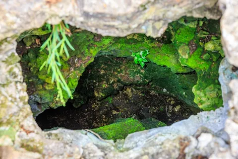 $4,200,000 | 370 Fallow Run Road, Hunt, TX 78024