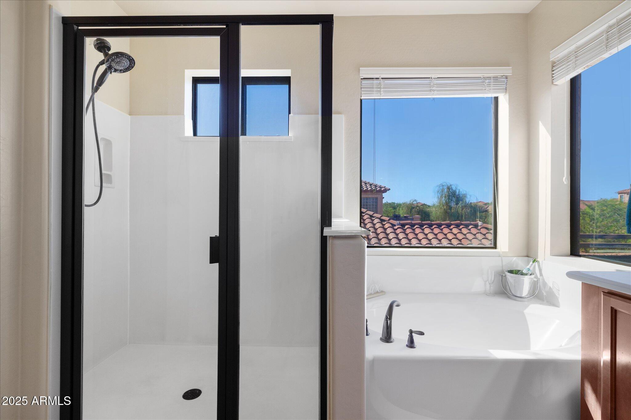 8536 East Inca Street Mesa, AZ 85207 - Photo 22 of 44 a bathroom with a bathtub and a shower