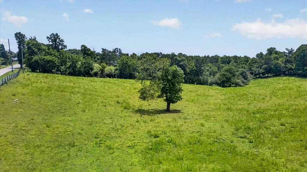 0 Conns Creek Road Ball Ground, GA 30107 - Photo 9 of 57