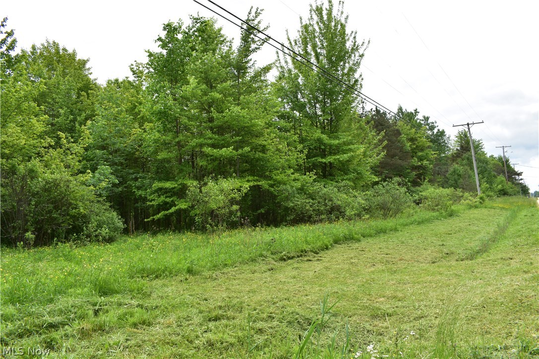 Forman Road Austinburg, OH 44010 - Photo 18 of 21 Gallery Image 18