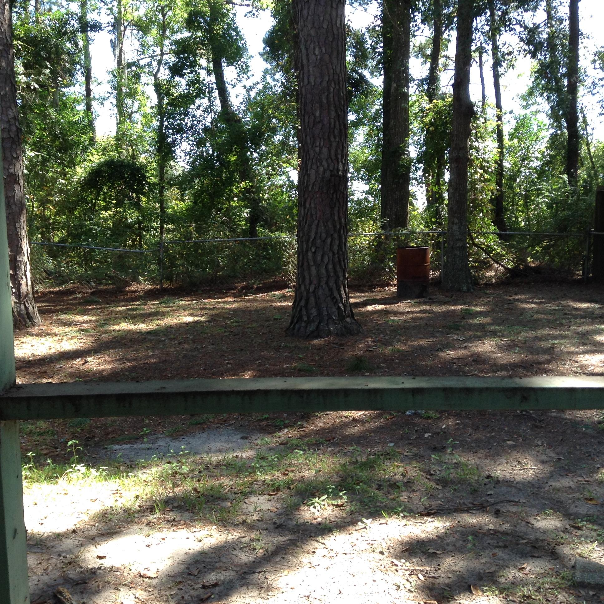 952 Savage Road Charleston, SC 29414 - Photo 25 of 30 IMG_1781