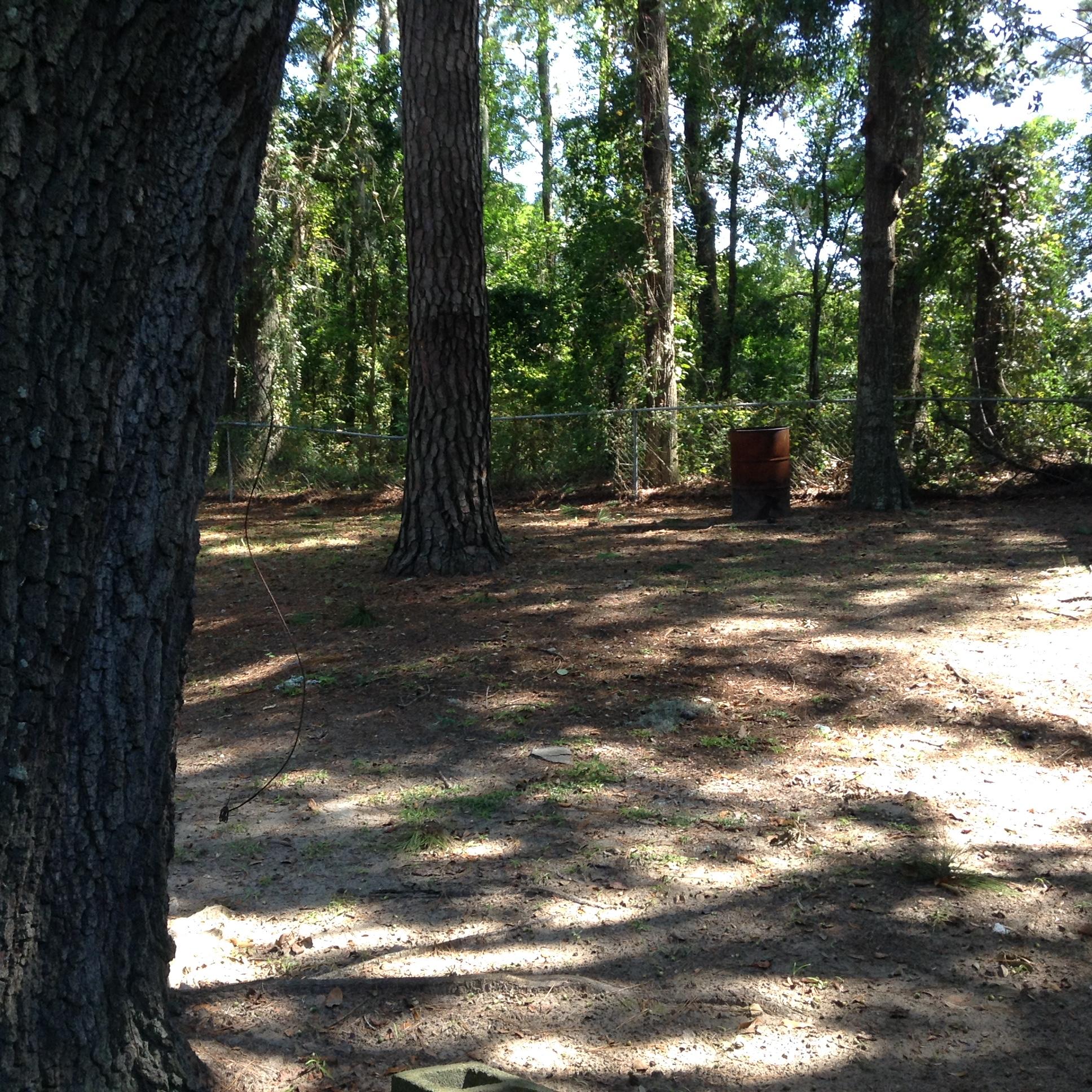 952 Savage Road Charleston, SC 29414 - Photo 26 of 30 IMG_1788