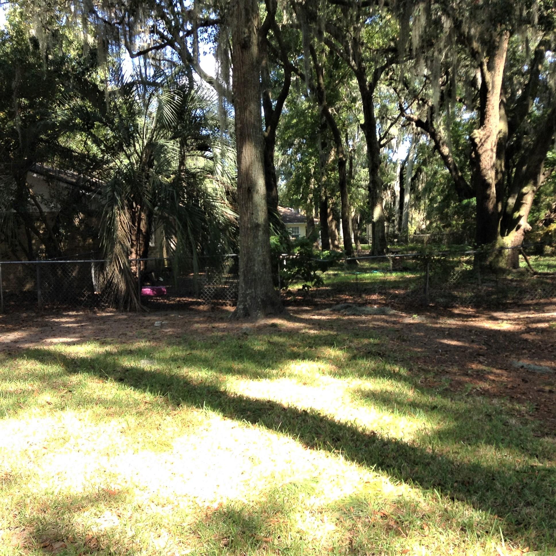 952 Savage Road Charleston, SC 29414 - Photo 28 of 30 IMG_1791