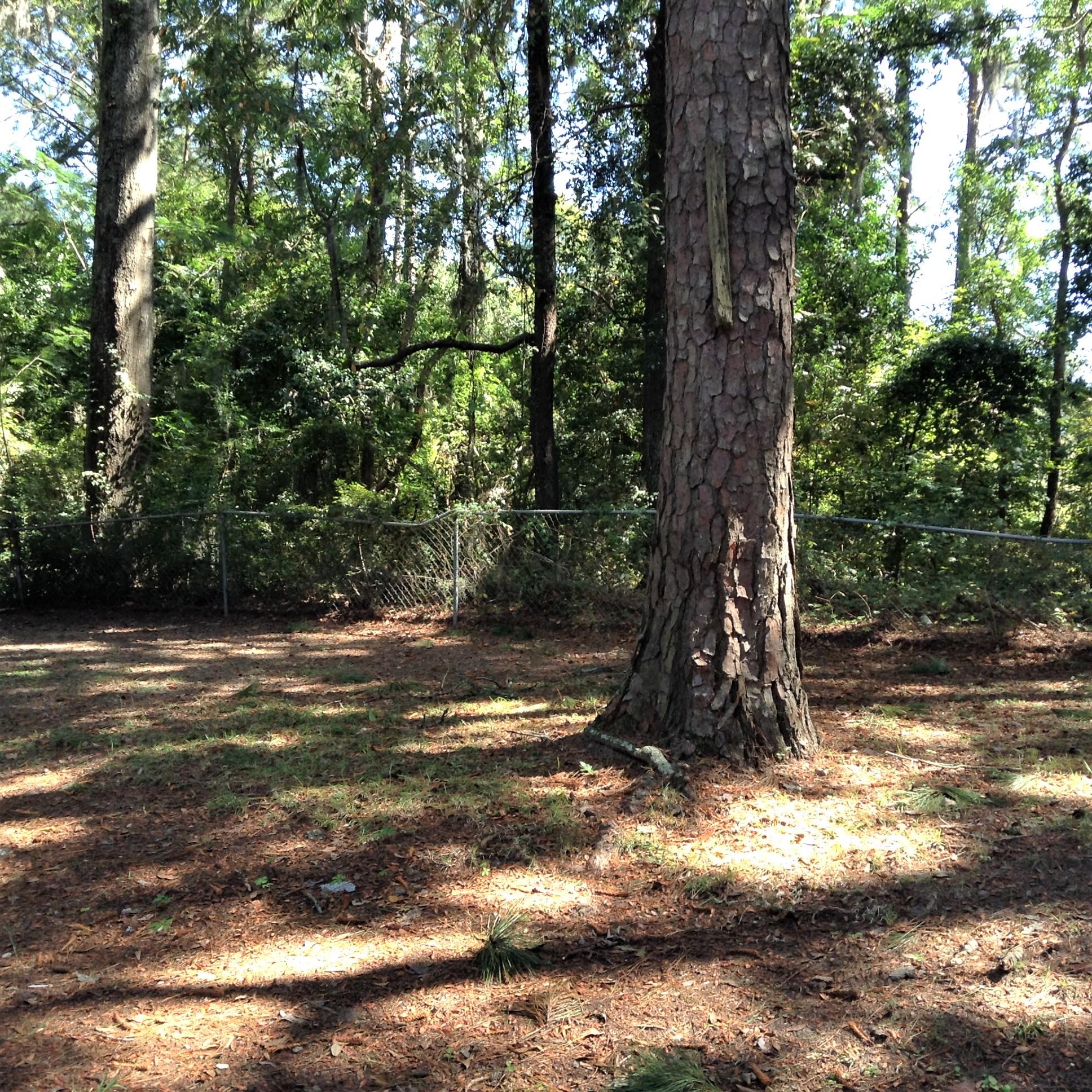 952 Savage Road Charleston, SC 29414 - Photo 29 of 30 IMG_1793