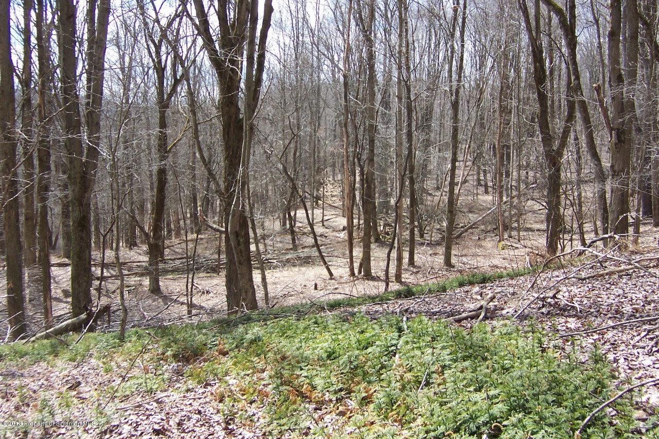 0 Wilcox Road Montrose, PA 18801 - Photo 7 of 12 a view of outdoor space with trees