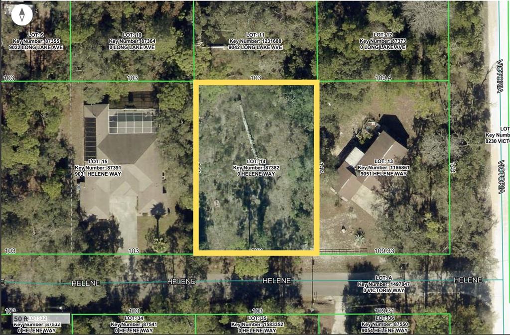 9041 Helene Way Weeki Wachee, FL 34613 - Photo 15 of 15 Gallery Image 15