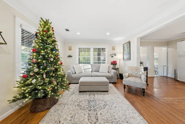 a living room with furniture plant and a window