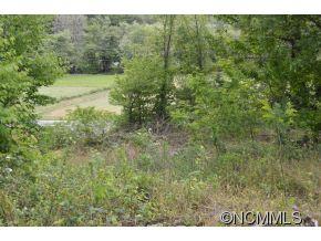 3339 Beaverdam Road Canton, NC 28716 - Photo 12 of 12