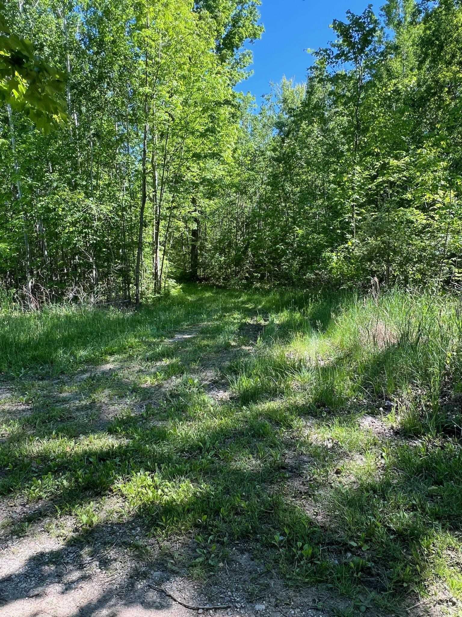 2386 Sunny Ridge Lane Fairview, MI 48621 - Photo 25 of 36 50143894-bfde0308-4ba7-4047-9a57-c6bbb60f38c6.JPG