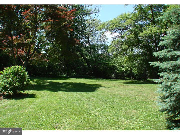 405 Paper Mill Road Oreland, PA 19075 - Photo 7 of 7 Back Yard