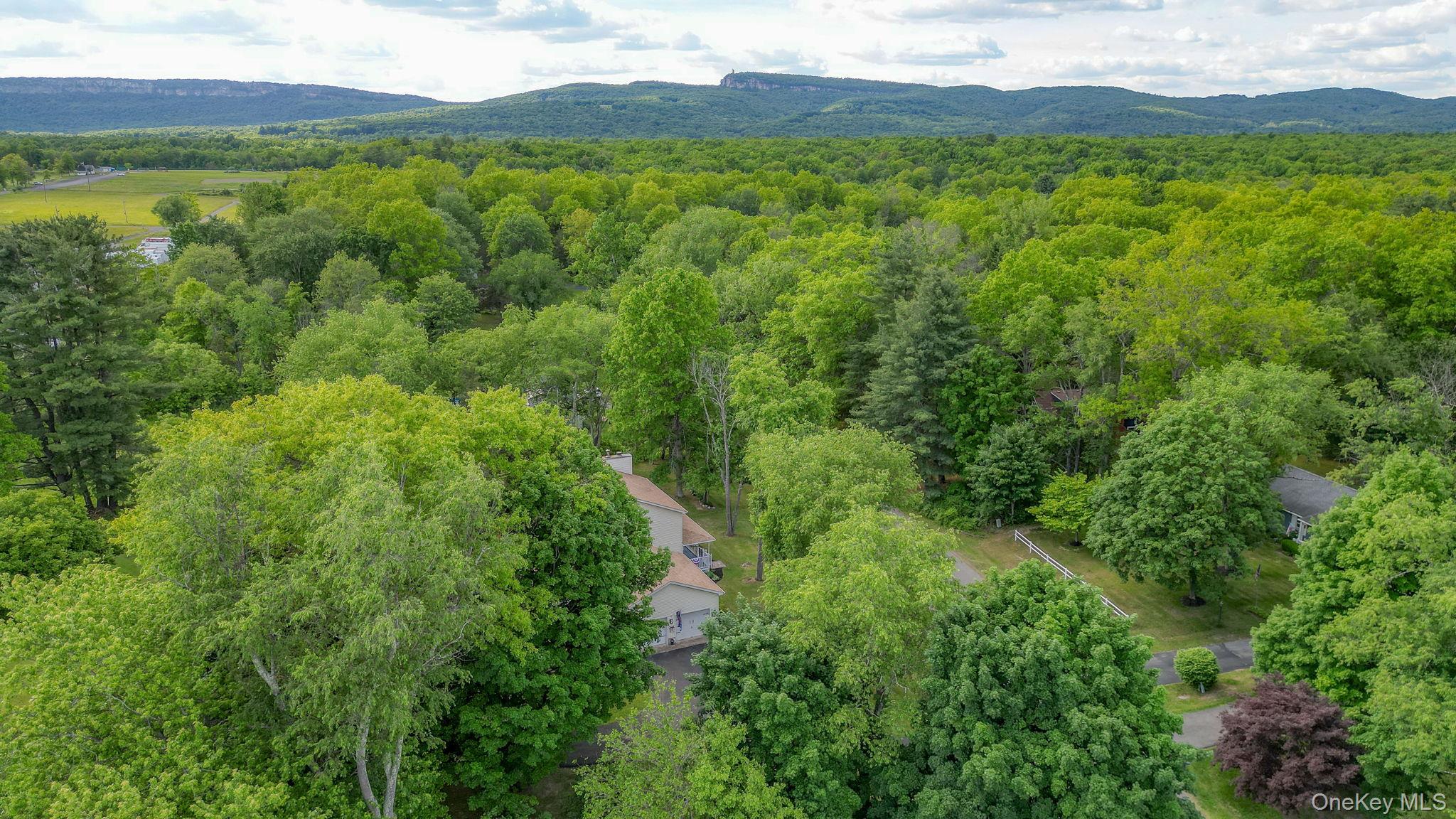 3 Unity Lane New Paltz, NY 12561 - Photo 44 of 45