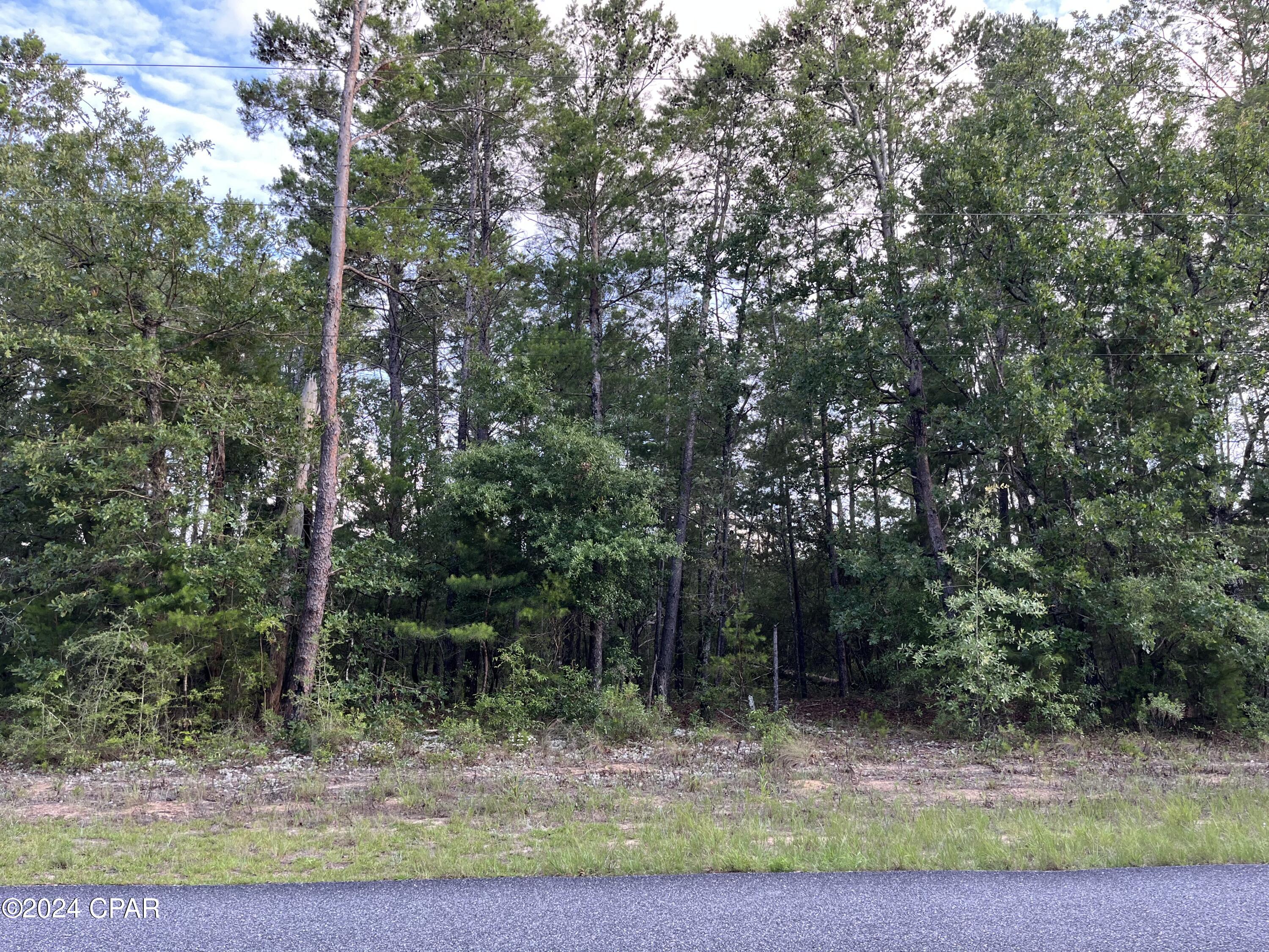 Lot 22 Dumajack Road Chipley, FL 32428 - Photo 1 of 33 Gallery Image 1