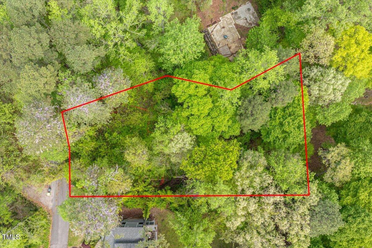 4120 Picardy Drive Raleigh, NC 27612 - Photo 13 of 21 a view of a yard with a tree