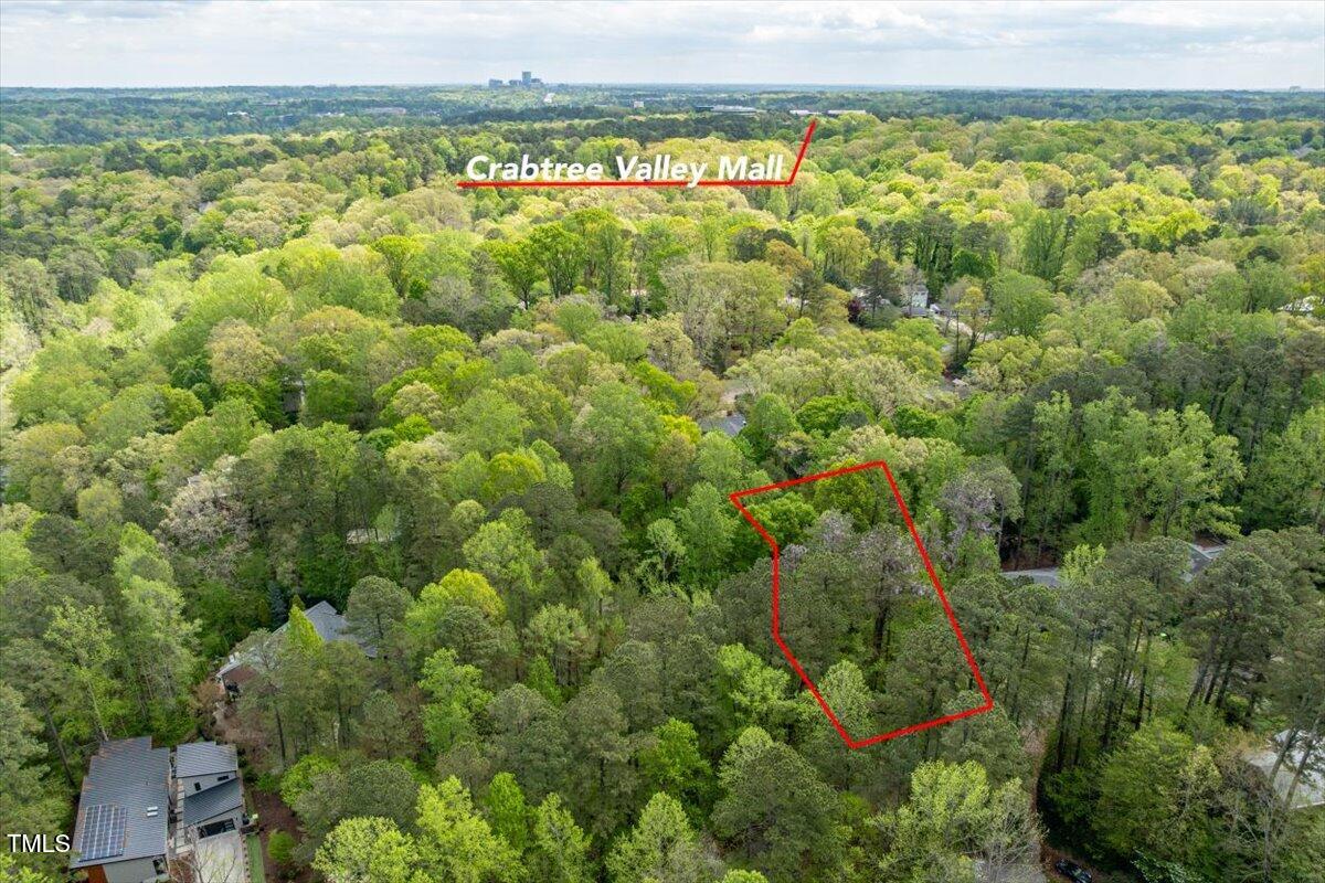 4120 Picardy Drive Raleigh, NC 27612 - Photo 14 of 21 a view of a city with lush green forest
