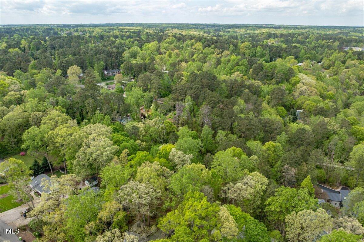 4120 Picardy Drive Raleigh, NC 27612 - Photo 17 of 21 a view of a forest with a street