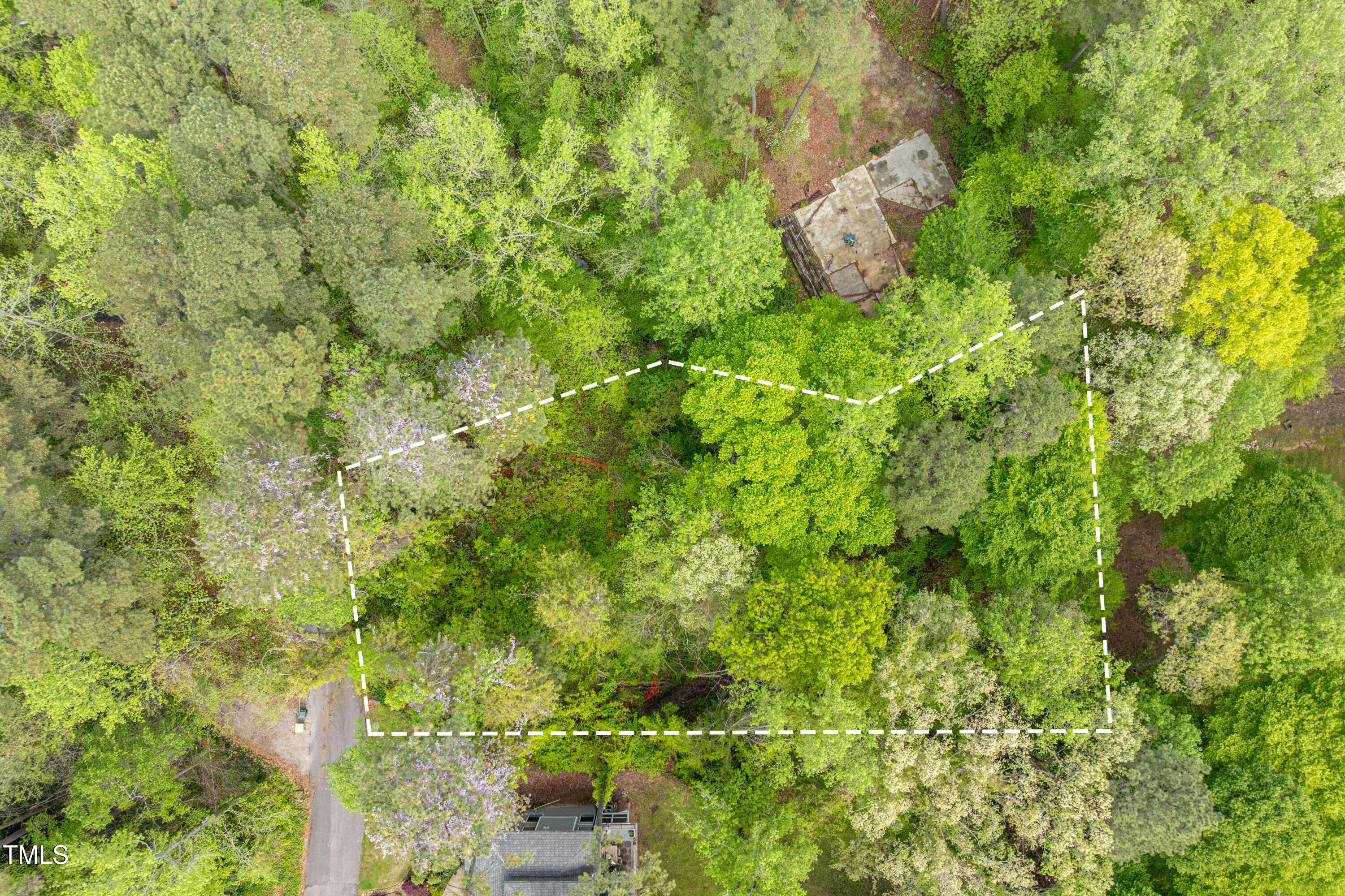 4120 Picardy Drive Raleigh, NC 27612 - Photo 18 of 21 a close up of a plant in a garden