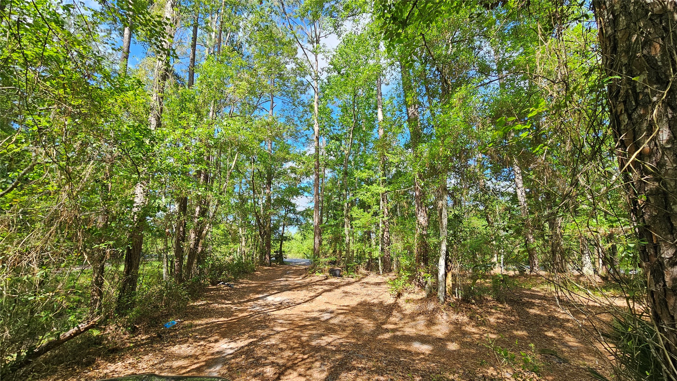 6324 Lannie Road Jacksonville, FL 32218 - Photo 14 of 60