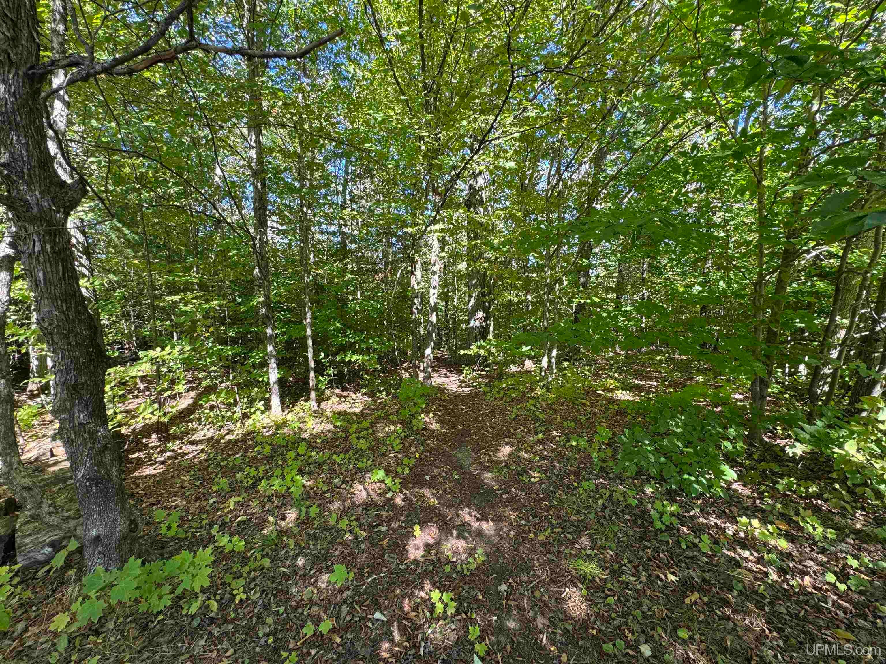 7399 West Brown Road Manistique, MI 49854 - Photo 23 of 36 Gallery Image 23