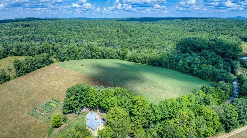 a view of a garden with a building in the background