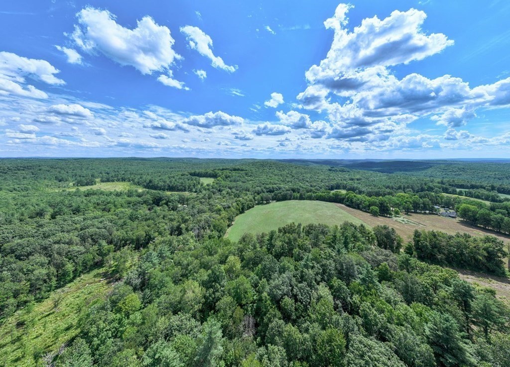 204 East Street Petersham, MA 01366 - Photo 3 of 13 a view of a big yard with lots of green space