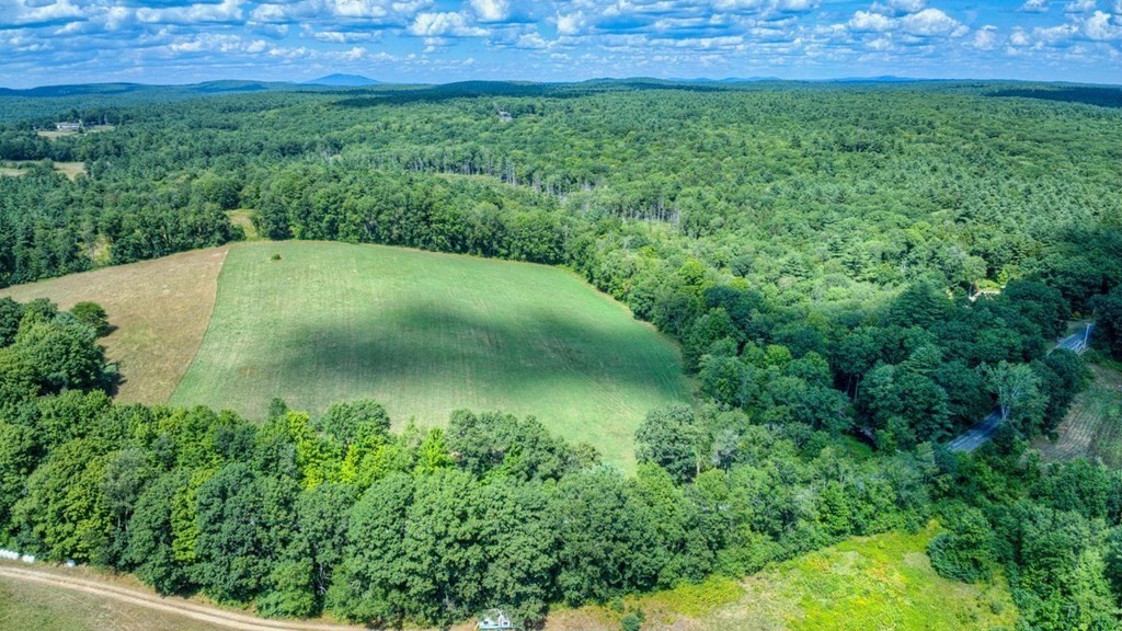 204 East Street Petersham, MA 01366 - Photo 6 of 13 a view of a lush green forest