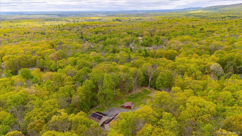 80 Jones Road Pine Bush, NY 12566 - Photo 39 of 44