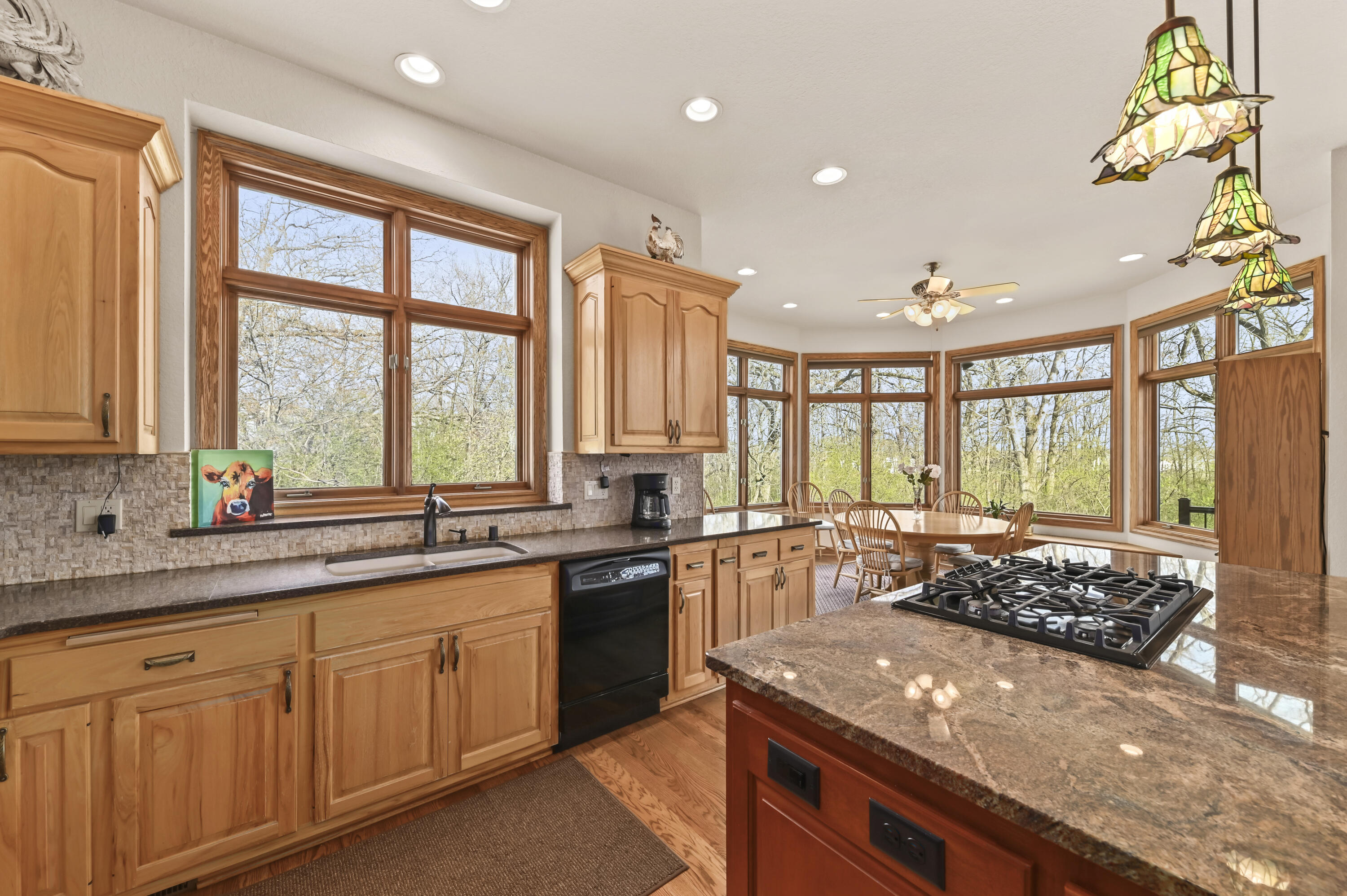 12301 West Ryan Road Franklin, WI 53132 - Photo 9 of 46 Kitchen