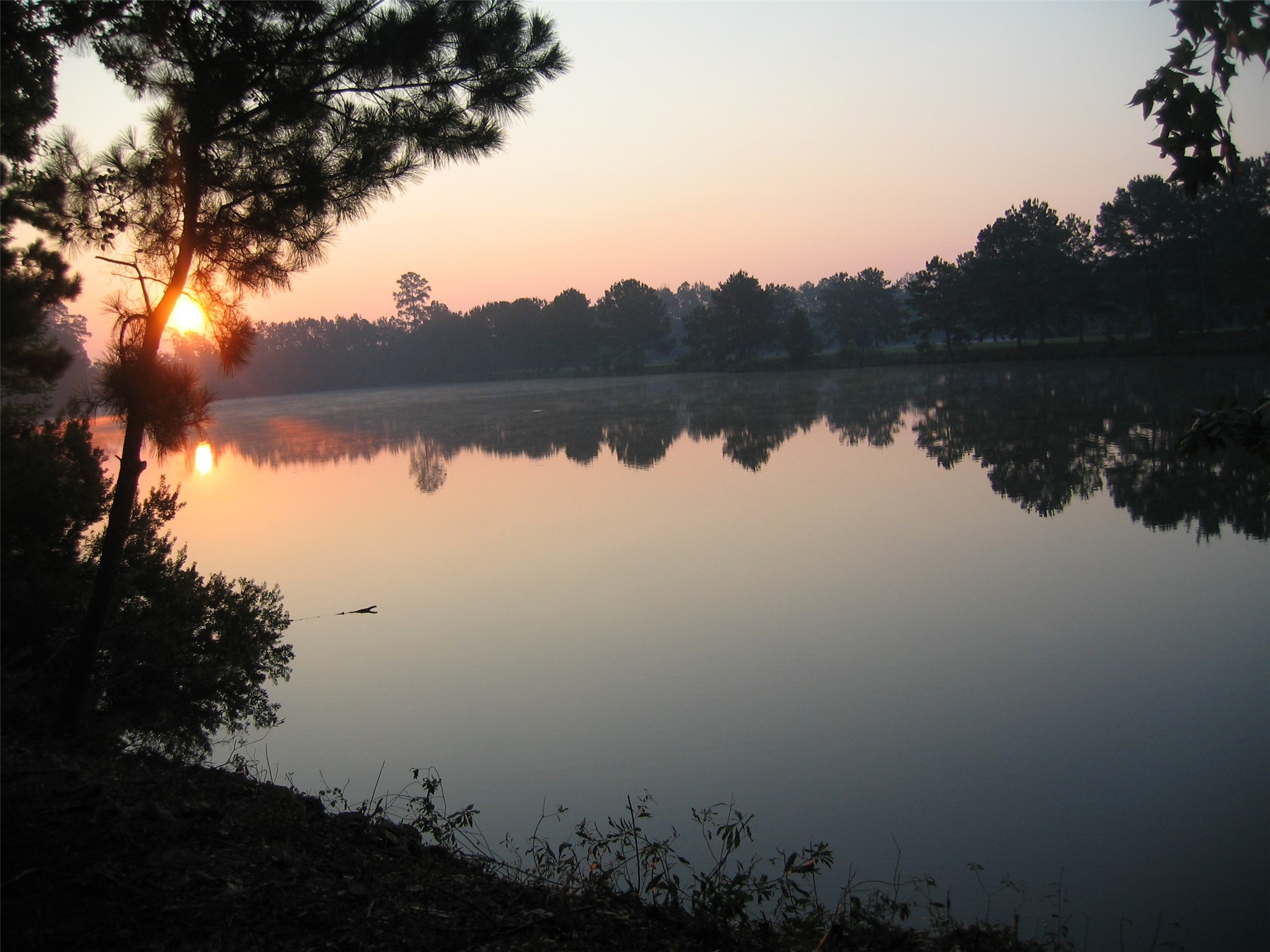 61 Cedar Ridge Cleveland, TX 77327 - Photo 12 of 24 Beautiful sunrises