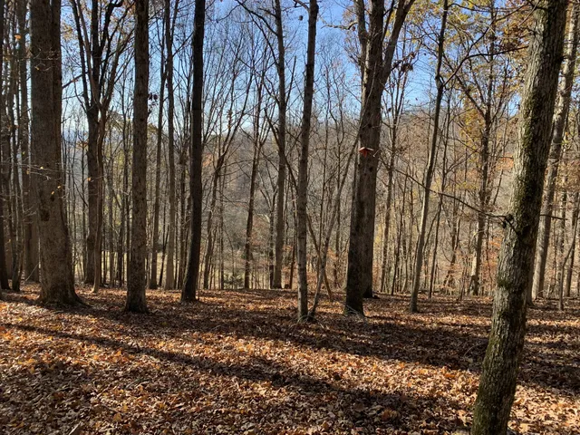 $399,000 | 0 Cummings Lane, Cottontown, TN 37048