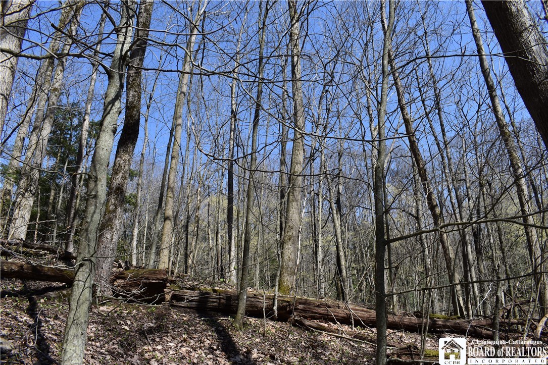 0 Fuller Gulf Road Cherry Creek, NY 14723 - Photo 14 of 25