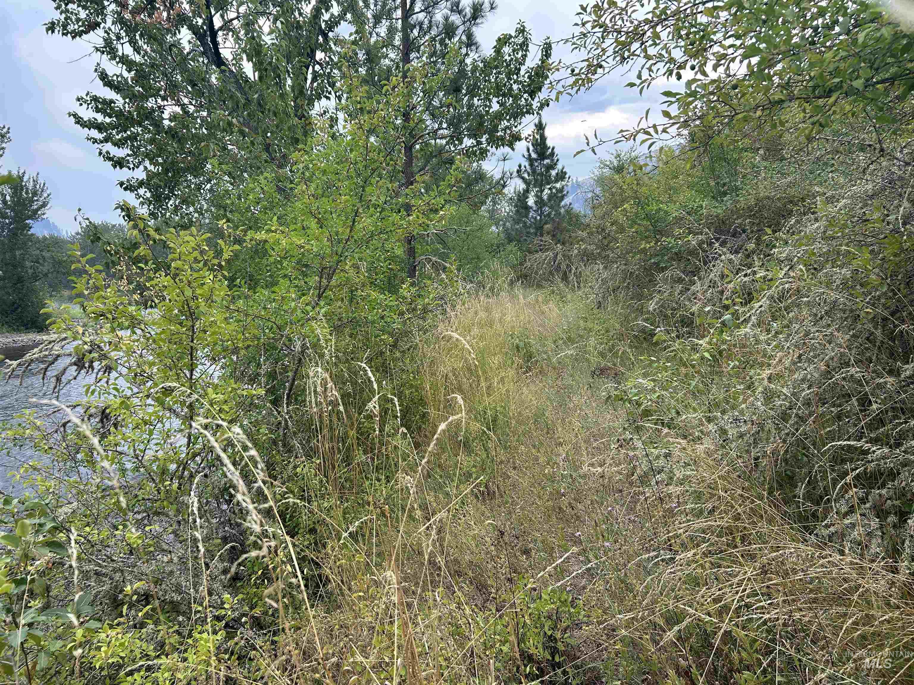 Tbd Luke's Gulch Road Kooskia, ID 83539 - Photo 22 of 36 Gallery Image 22