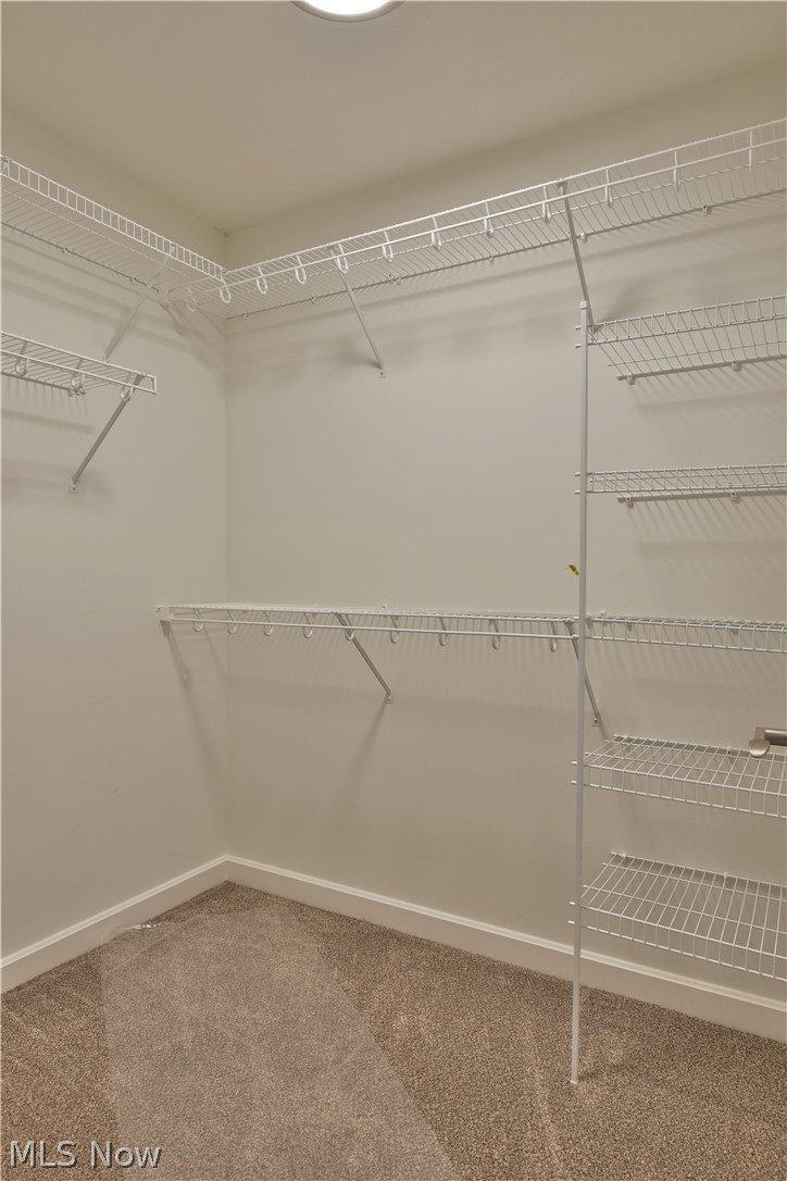 149 Howland Wilson Road Northeast Warren, OH 44484 - Photo 4 of 35 Gallery Image 4