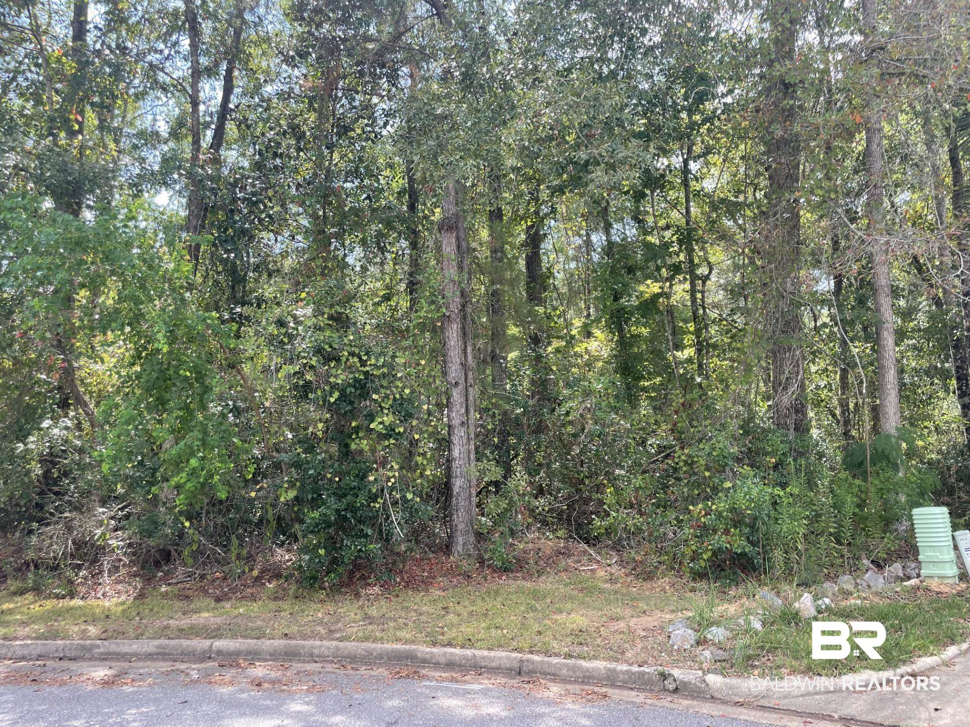 0 Weston Drive Mobile, AL 36695 - Photo 1 of 4