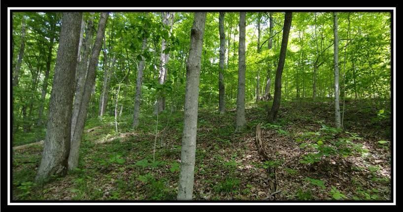 2169 Mohawk Coal Road Wellston, OH 45692 - Photo 55 of 58 image055
