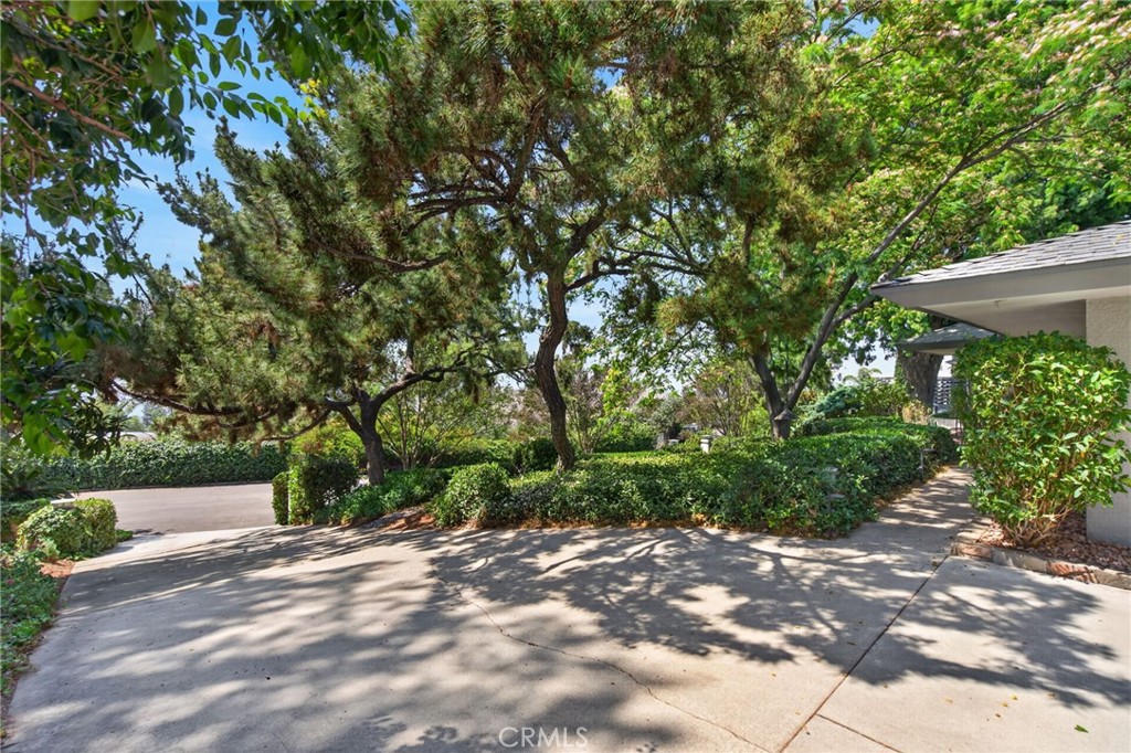 11517 Tulane Avenue Riverside, CA 92507 - Photo 69 of 75 Driveway amongst the layered trees
