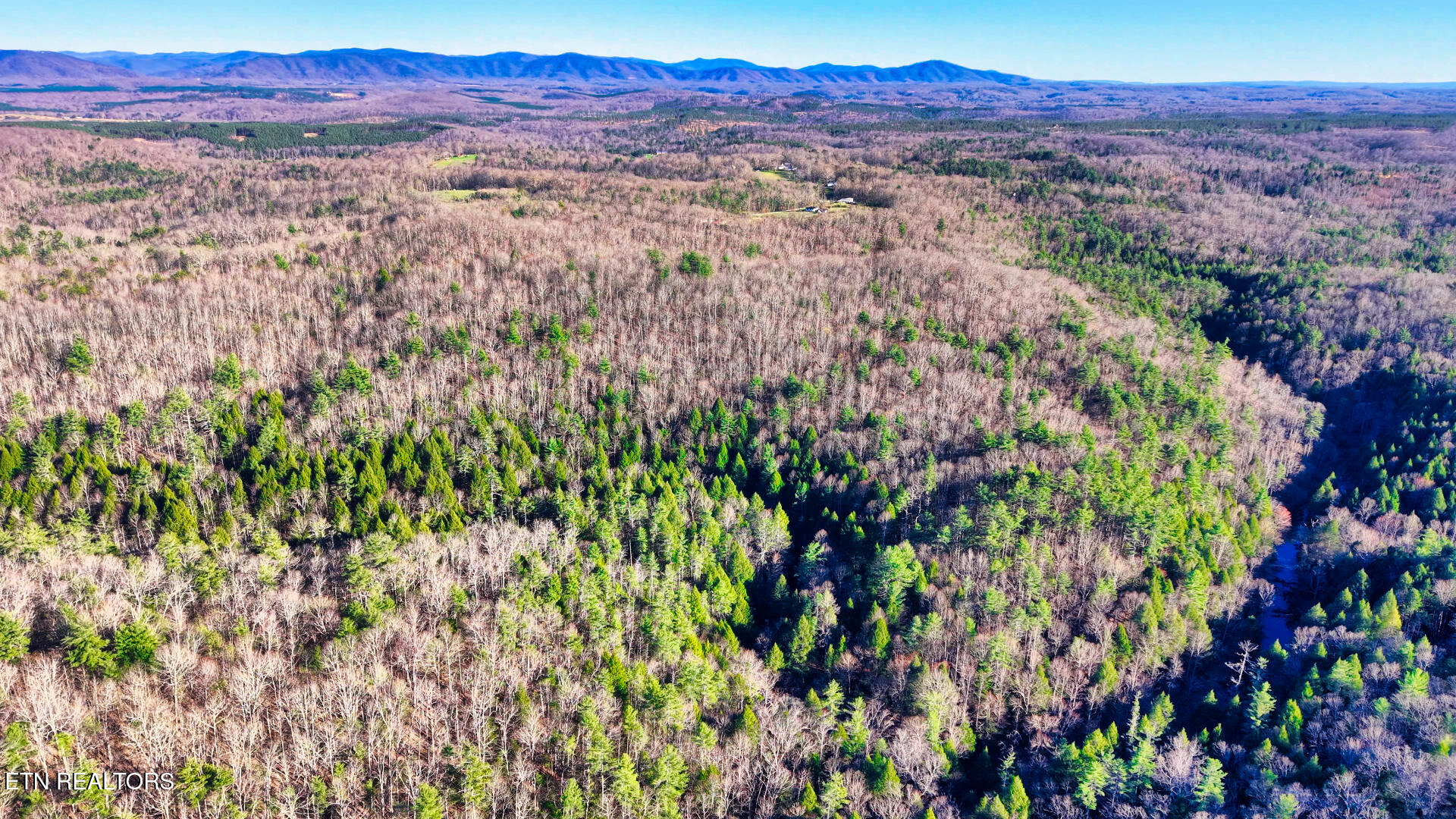 6 Ervin Brown Road, Unit TRACT 6 Sunbright, TN 37872 - Photo 5 of 7 1