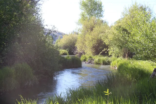 $450,000 | 803-805 West College Street, Mackay, ID 83251