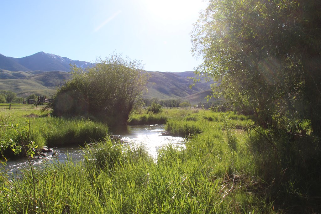 803-805 West College Street Mackay, ID 83251 - Photo 24 of 28