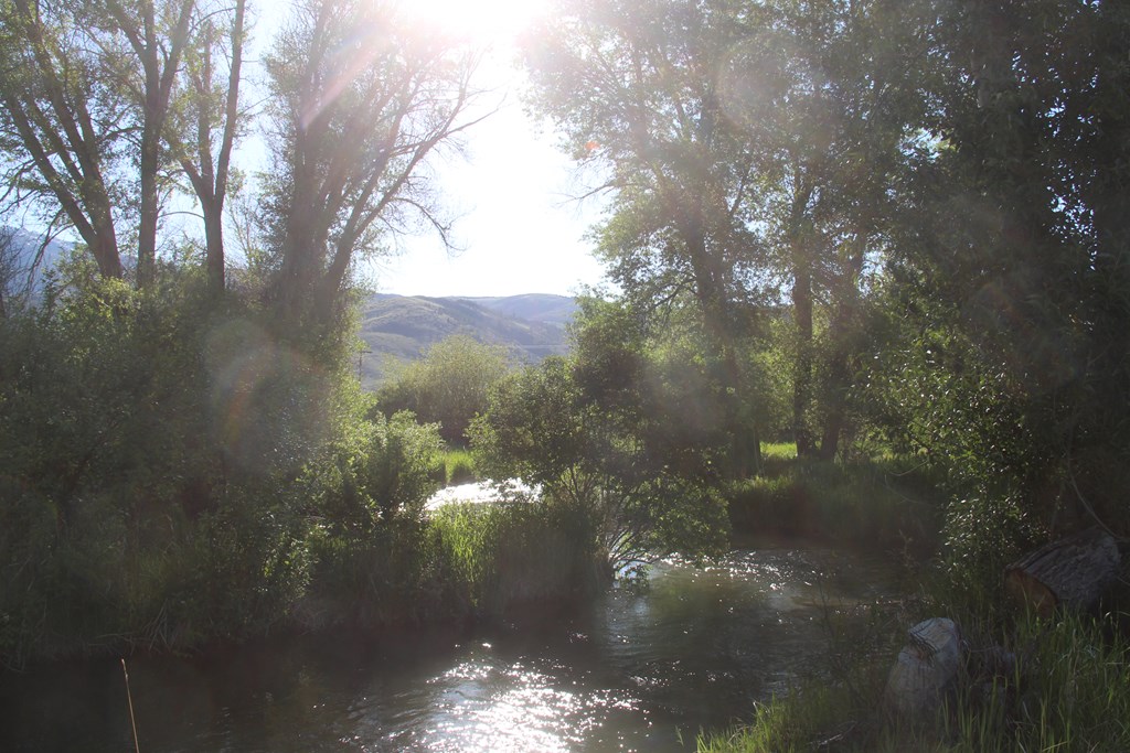 803-805 West College Street Mackay, ID 83251 - Photo 25 of 28